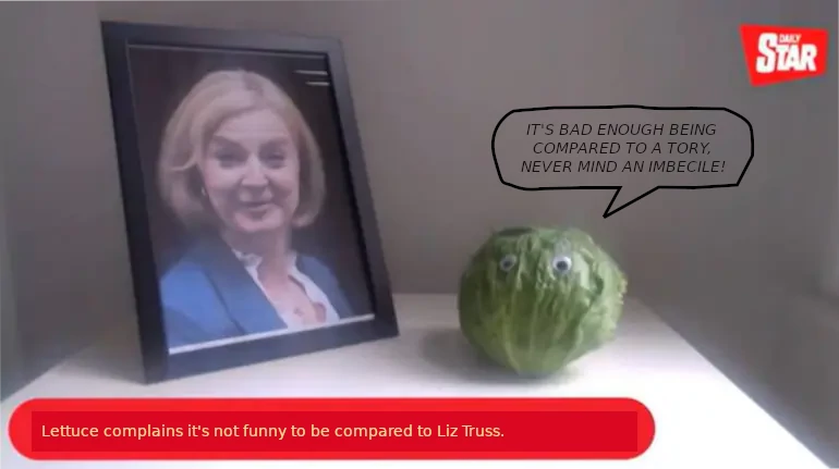 Lettuce complains about being compared to Liz Truss. The lettuce says "It's bd enough getting compared to a Tory, never mind an imbecile"