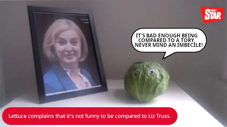 Lettuce complains about being compared to Liz Truss.