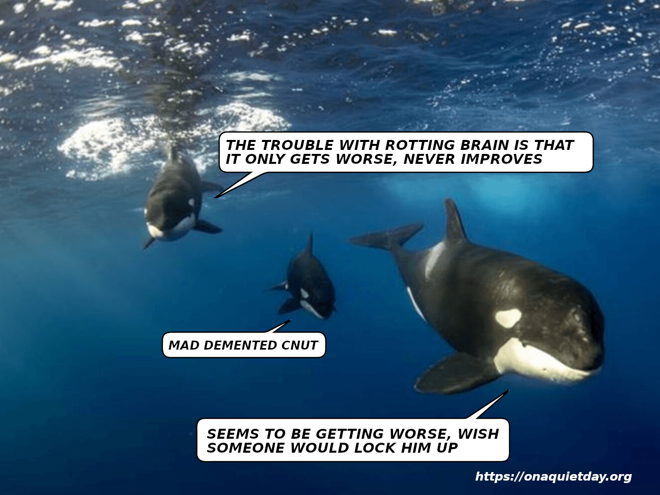 Orcas discuss rotting brain, front Orca says disinhibition and swearing are typical and common symptoms, small Orca speaks bluntly.