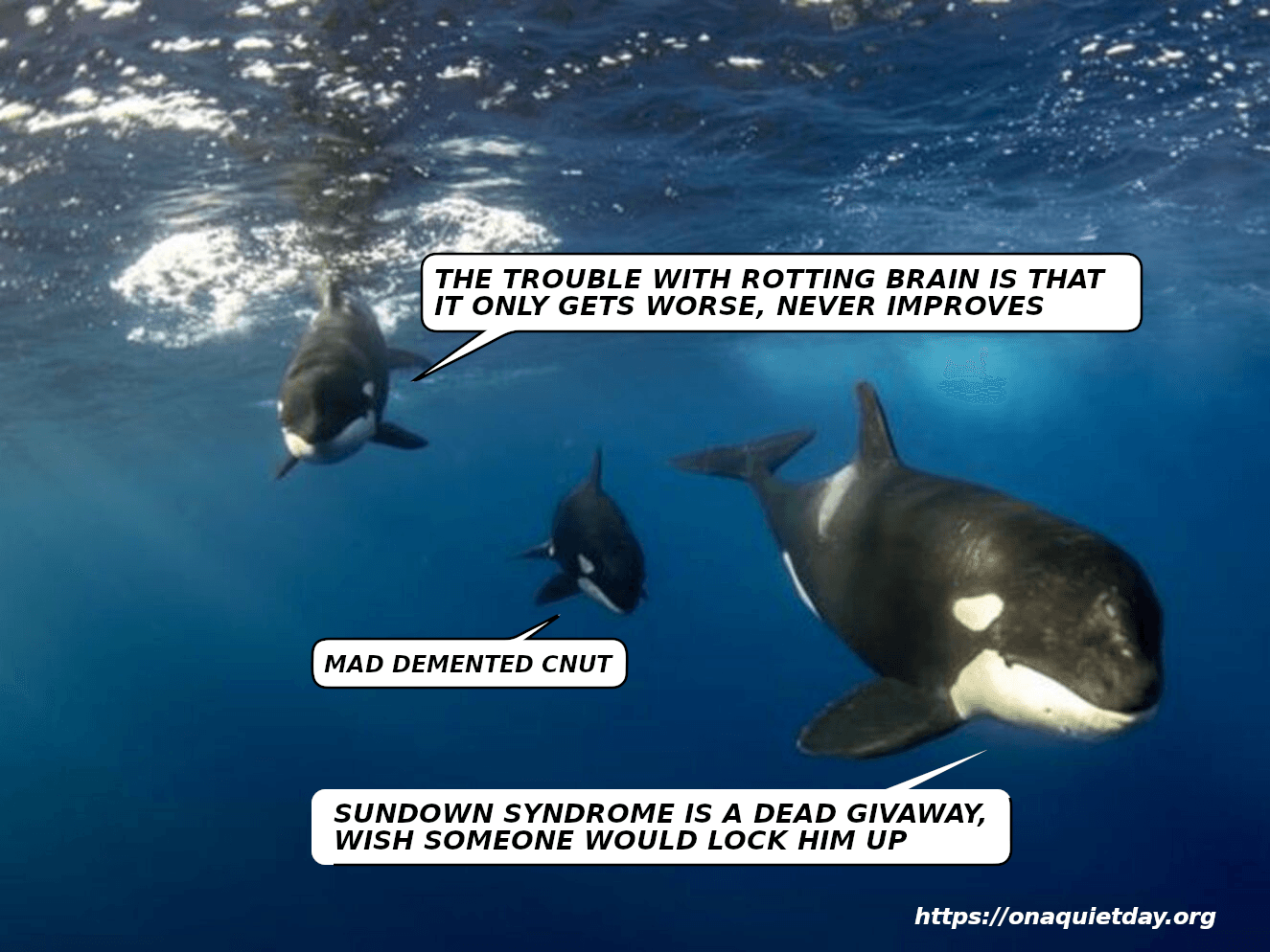 Orcas discuss rotting brain, front Orca says Sundown Syndrome is a dead givaway and he wishes someone would Lock Him Up